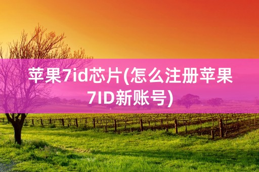 苹果7id芯片(怎么注册苹果7ID新账号)