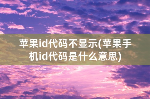 苹果id代码不显示(苹果手机id代码是什么意思)