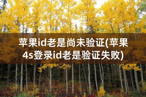 苹果id老是尚未验证(苹果4s登录id老是验证失败)