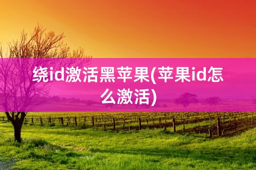 绕id激活黑苹果(苹果id怎么激活)