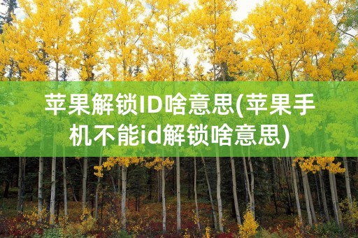 苹果解锁ID啥意思(苹果手机不能id解锁啥意思)