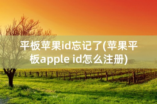 平板苹果id忘记了(苹果平板apple id怎么注册)