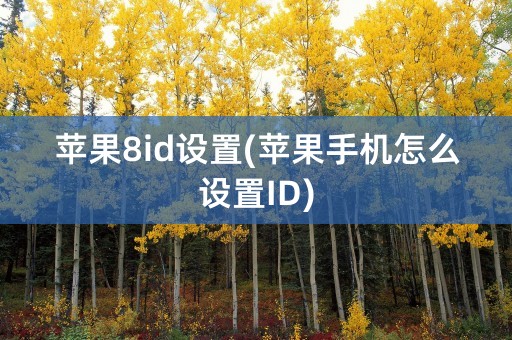 苹果8id设置(苹果手机怎么设置ID)