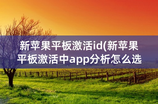 新苹果平板激活id(新苹果平板激活中app分析怎么选择)