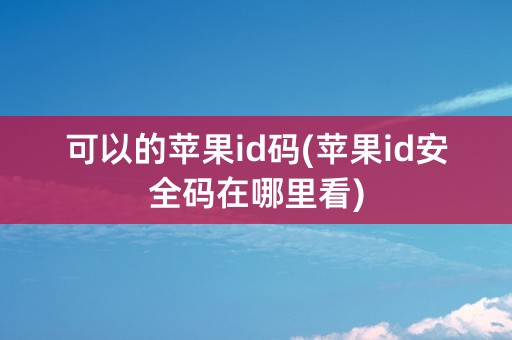 可以的苹果id码(苹果id安全码在哪里看)