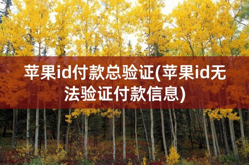 苹果id付款总验证(苹果id无法验证付款信息)