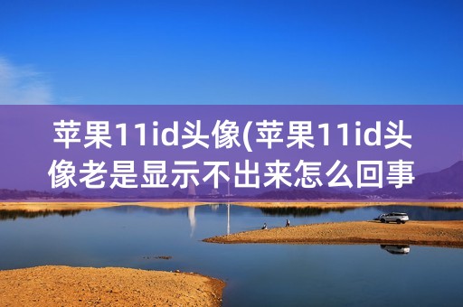 苹果11id头像(苹果11id头像老是显示不出来怎么回事)