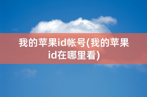 我的苹果id帐号(我的苹果id在哪里看)