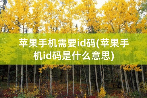 苹果手机需要id码(苹果手机id码是什么意思)