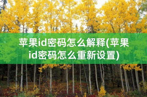 苹果id密码怎么解释(苹果id密码怎么重新设置)