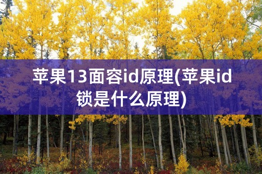 苹果13面容id原理(苹果id锁是什么原理)