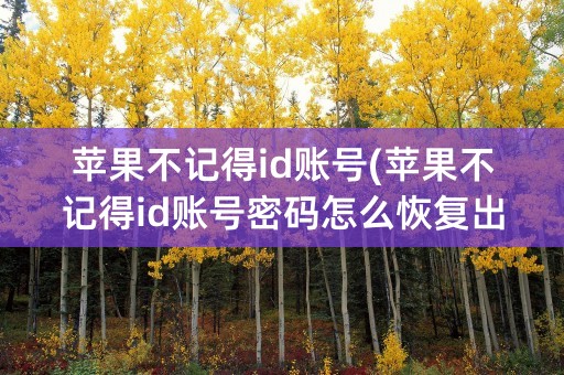 苹果不记得id账号(苹果不记得id账号密码怎么恢复出厂)