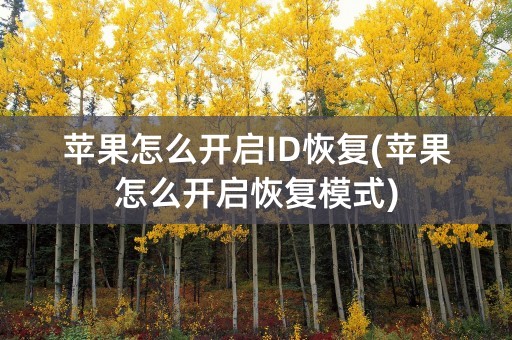 苹果怎么开启ID恢复(苹果怎么开启恢复模式)