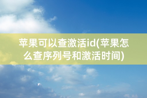 苹果可以查激活id(苹果怎么查序列号和激活时间)