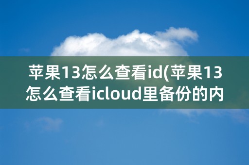 苹果13怎么查看id(苹果13怎么查看icloud里备份的内容)