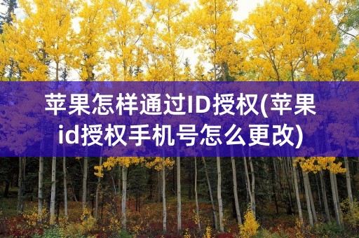 苹果怎样通过ID授权(苹果id授权手机号怎么更改)