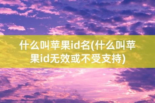 什么叫苹果id名(什么叫苹果id无效或不受支持)