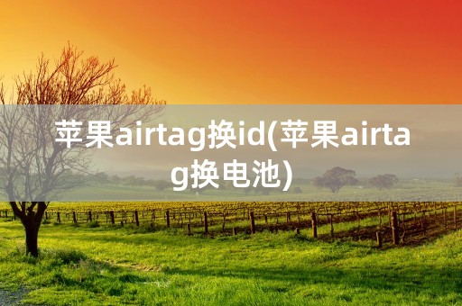 苹果airtag换id(苹果airtag换电池)