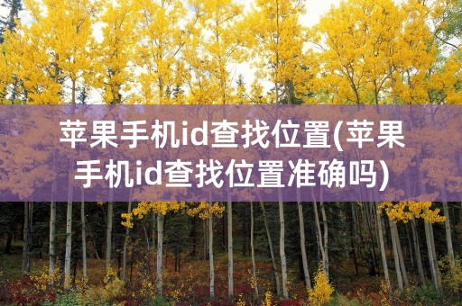 苹果手机id查找位置(苹果手机id查找位置准确吗)