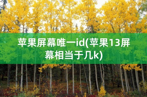 苹果屏幕唯一id(苹果13屏幕相当于几k)