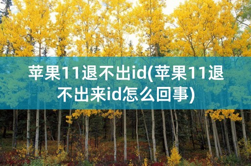 苹果11退不出id(苹果11退不出来id怎么回事)