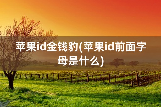 苹果id金钱豹(苹果id前面字母是什么)