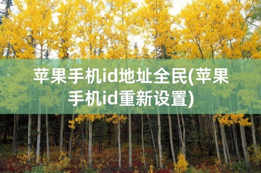 苹果手机id地址全民(苹果手机id重新设置)