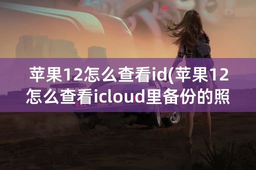 苹果12怎么查看id(苹果12怎么查看icloud里备份的照片)