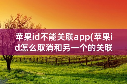 苹果id不能关联app(苹果id怎么取消和另一个的关联)