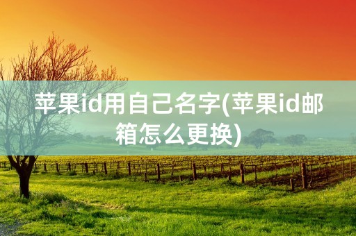 苹果id用自己名字(苹果id邮箱怎么更换)