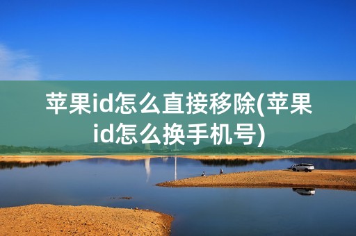 苹果id怎么直接移除(苹果id怎么换手机号)