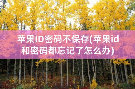 苹果ID密码不保存(苹果id和密码都忘记了怎么办)