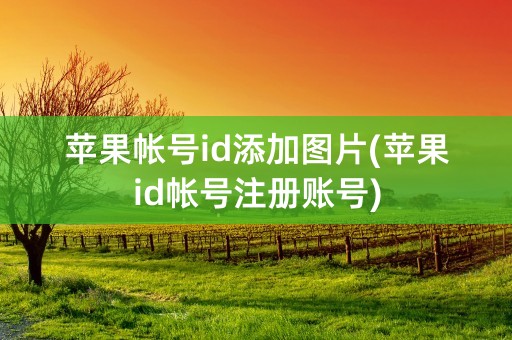 苹果帐号id添加图片(苹果id帐号注册账号)