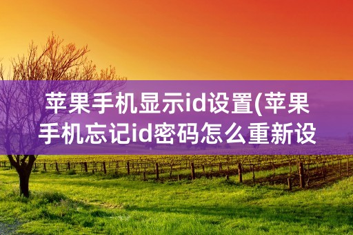 苹果手机显示id设置(苹果手机忘记id密码怎么重新设置)