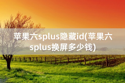 苹果六splus隐藏id(苹果六splus换屏多少钱)