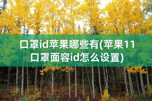 口罩id苹果哪些有(苹果11口罩面容id怎么设置)