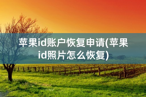 苹果id账户恢复申请(苹果id照片怎么恢复)