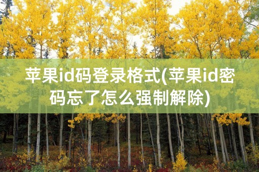 苹果id码登录格式(苹果id密码忘了怎么强制解除)