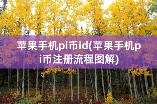 苹果手机pi币id(苹果手机pi币注册流程图解)