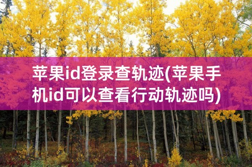 苹果id登录查轨迹(苹果手机id可以查看行动轨迹吗)