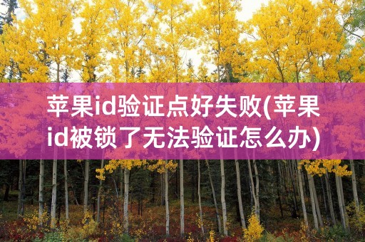 苹果id验证点好失败(苹果id被锁了无法验证怎么办)