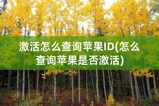 激活怎么查询苹果ID(怎么查询苹果是否激活)