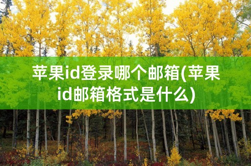 苹果id登录哪个邮箱(苹果id邮箱格式是什么)