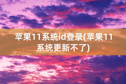 苹果11系统id登录(苹果11系统更新不了)