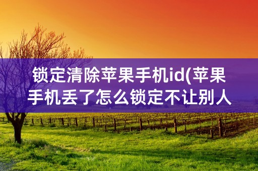 锁定清除苹果手机id(苹果手机丢了怎么锁定不让别人用)