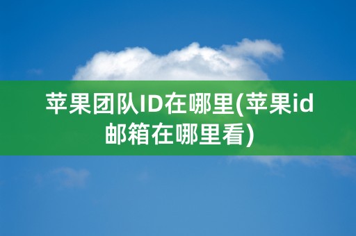 苹果团队ID在哪里(苹果id邮箱在哪里看)