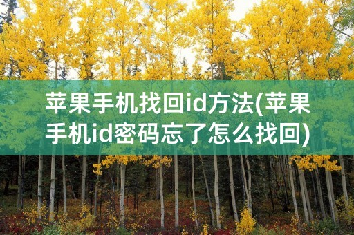 苹果手机找回id方法(苹果手机id密码忘了怎么找回)