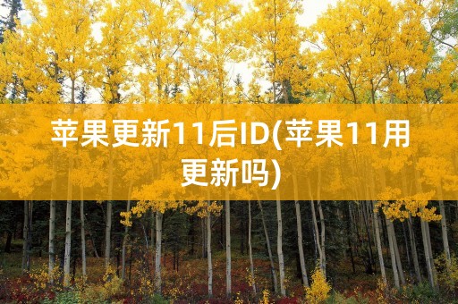 苹果更新11后ID(苹果11用更新吗)