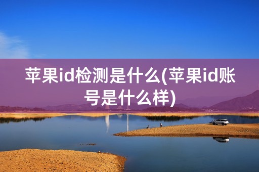 苹果id检测是什么(苹果id账号是什么样)