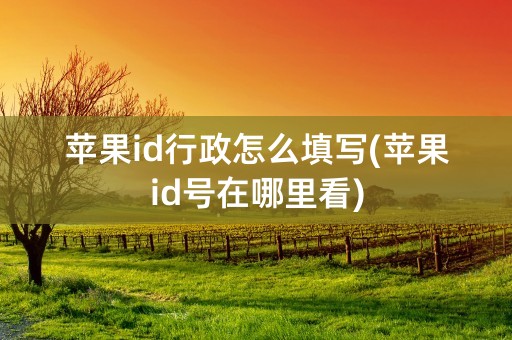 苹果id行政怎么填写(苹果id号在哪里看)